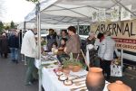 2021-pommes-DSC_1608.jpg