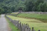 2021-rieuxDSC_0506.jpg