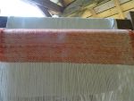 Belt2018_DSC03306.jpg