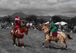 IMG_8500c.jpg