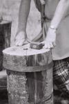 arv2004-FrappemonnaieNB.jpg