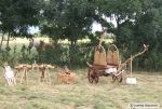 arv2009-DSC06970.jpg