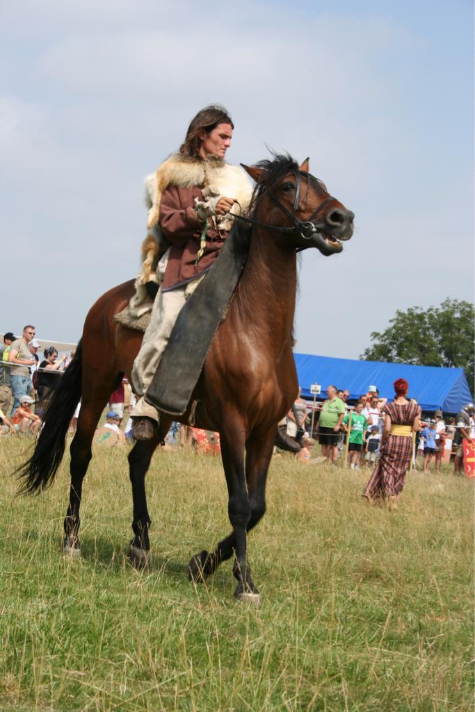 arv2006-cavalier 06.jpg
