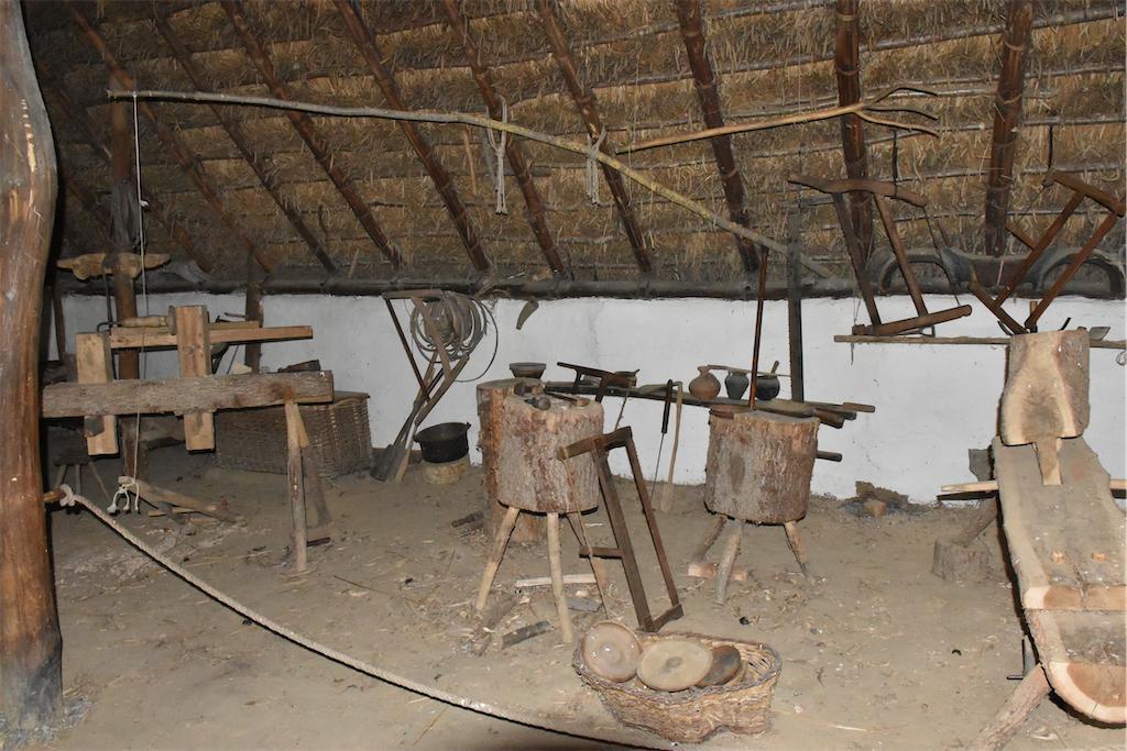 2021-rieuxDSC_0520.jpg