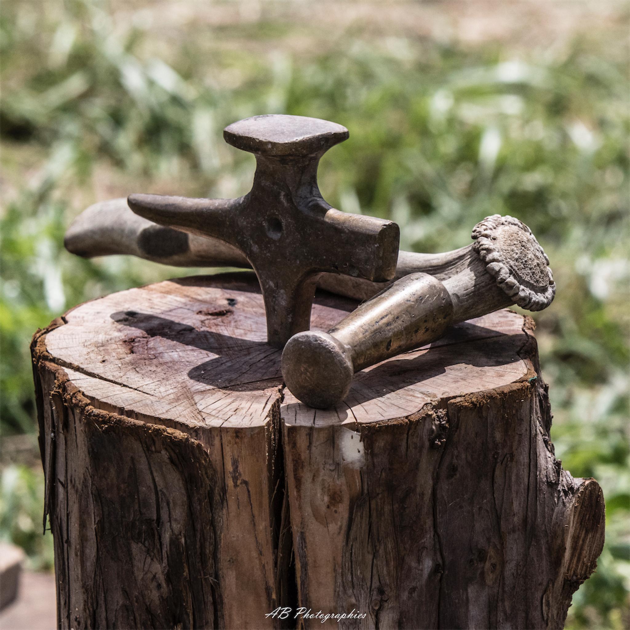arverniales_2024-162_6f044.jpg