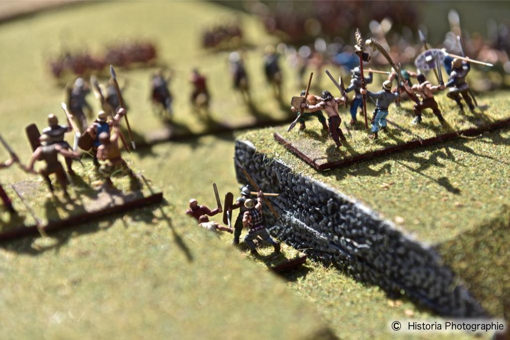 Les Arverniales 2015 - Léonnorios & Luernos - Historia Photographie 017.jpg